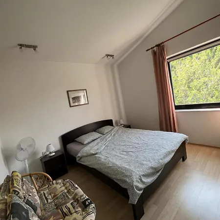 Tranquil Spacious With Private Pool